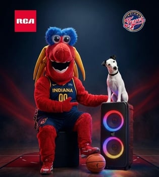 Indiana Fever image 2
